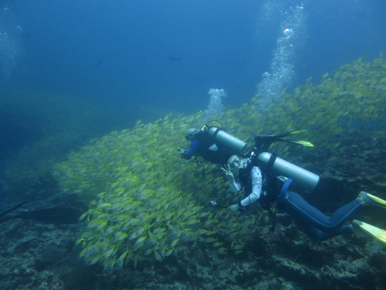 South Ari Dive Center Hotel Dhangethi Exterior photo